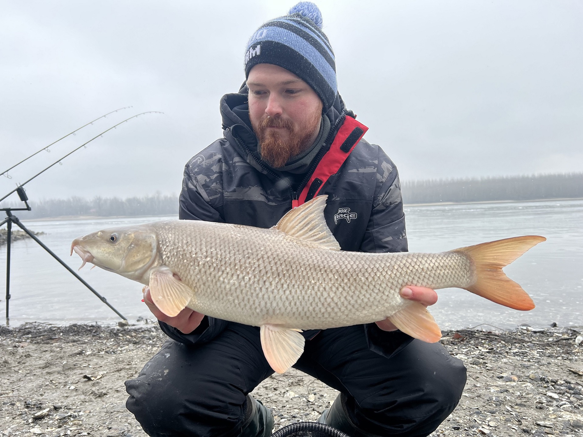 Tavaszi márnahorgászat a Dunán, egy meglepetéssel