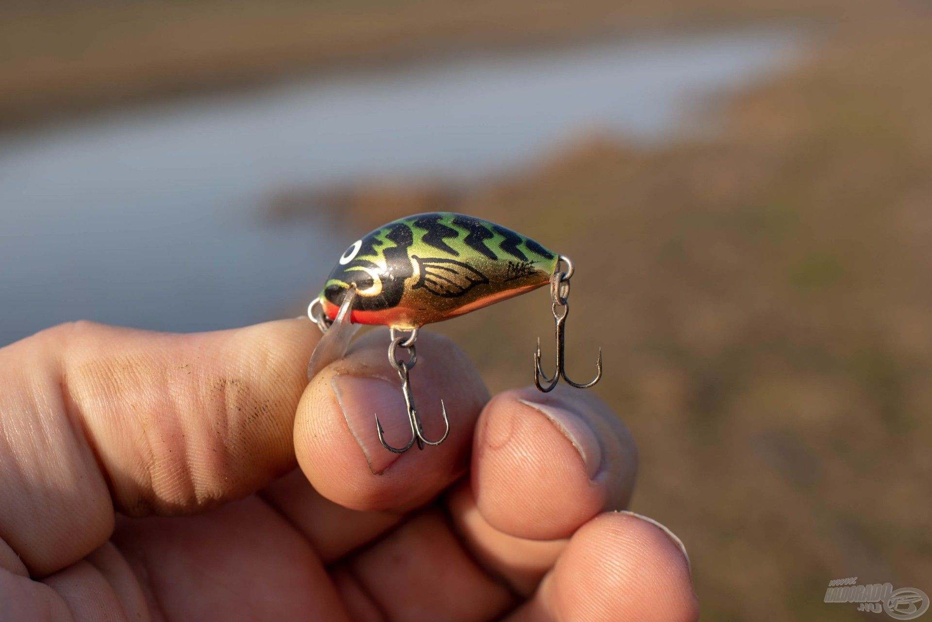 Számomra az egyik legkedveltebb wobbler a Salmo Tiny