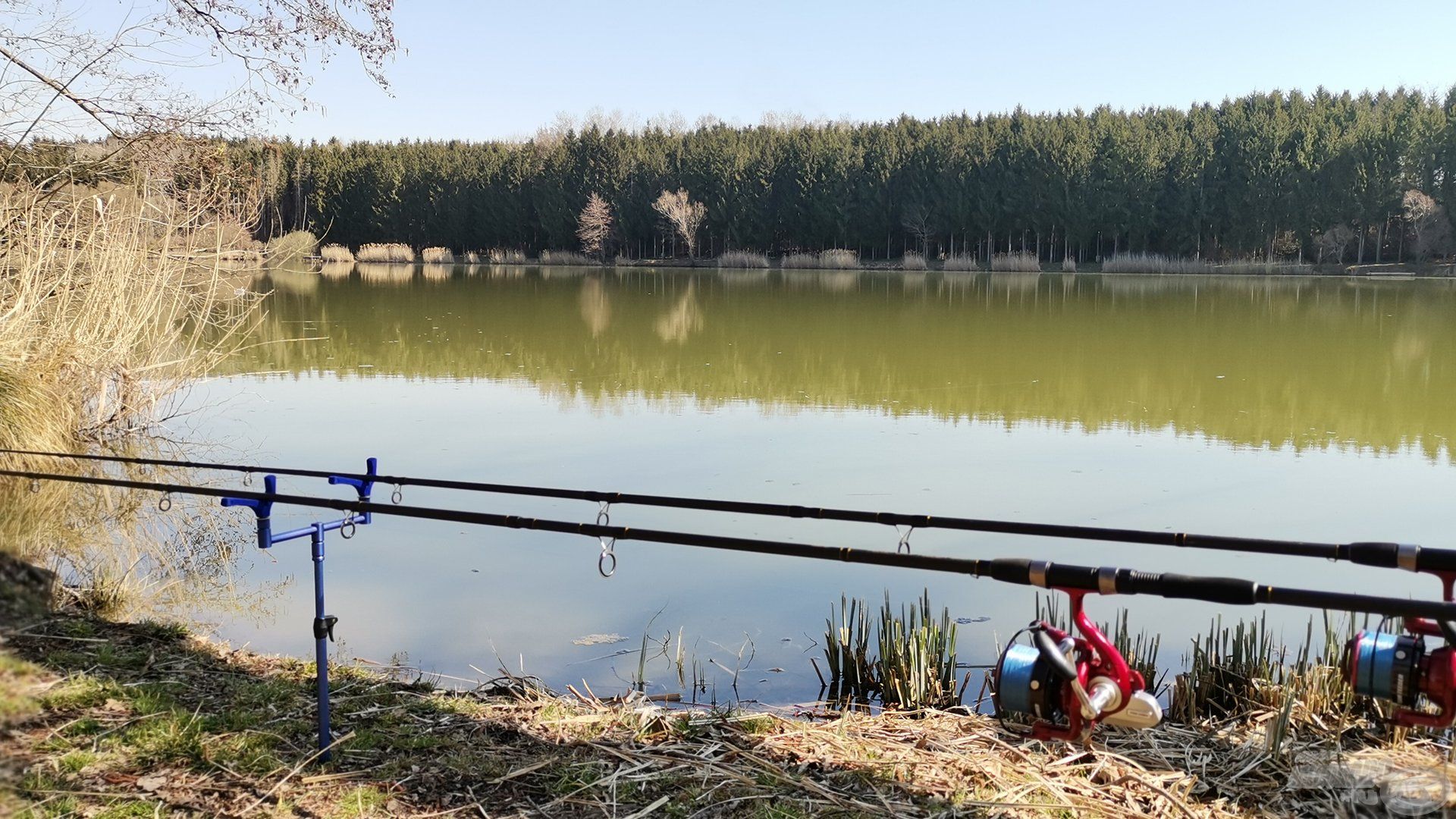 Míg botjaim kápásra vártak, gyönyörködtem a panorámában