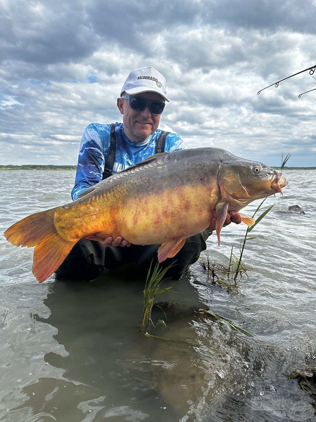 A versenyszabályzat szerint csak a 10 kg feletti halak számítottak be az értékelésbe. Jó néhány 6-9 kg közötti pontyot is fogtunk, amelyeket megcsodáltunk, majd visszaengedtünk…