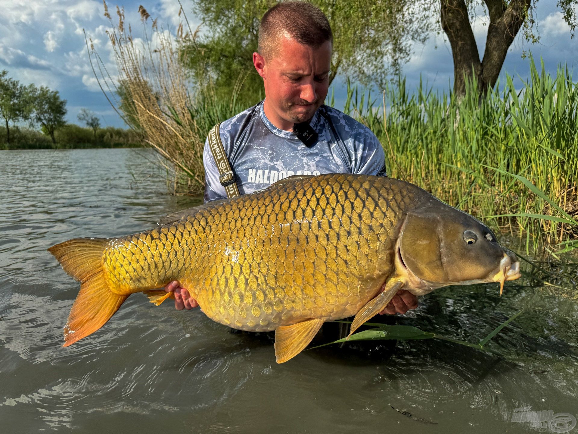 Az első 25 kg feletti az új helyről