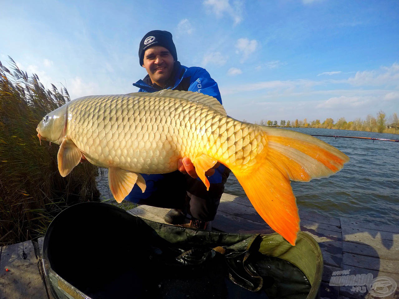 A Top Method Brutál Máj és Record Carp Stick Mix - Fekete Tintahal nehéz szemcséi garantáltan megvárják a későn érkező termetes egyedeket!