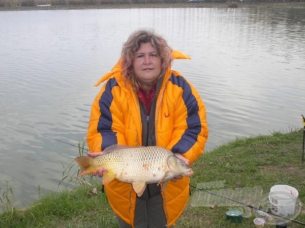 A hölgyhorgászok is szép halakat foghatnak itt. Jeszyné Andi ezt a 3,5 kg-os pontyot epres pellettel fogta