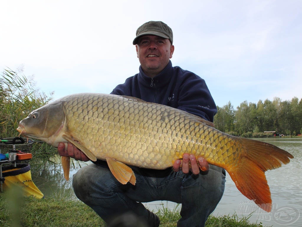 Dr. Nánai Zoltán matchbottal terelte szákba ezt a 10 kg feletti tőpontyot, ami a verseny legnagyobb hala is lett egyben a maga 10.740 grammos tömegével