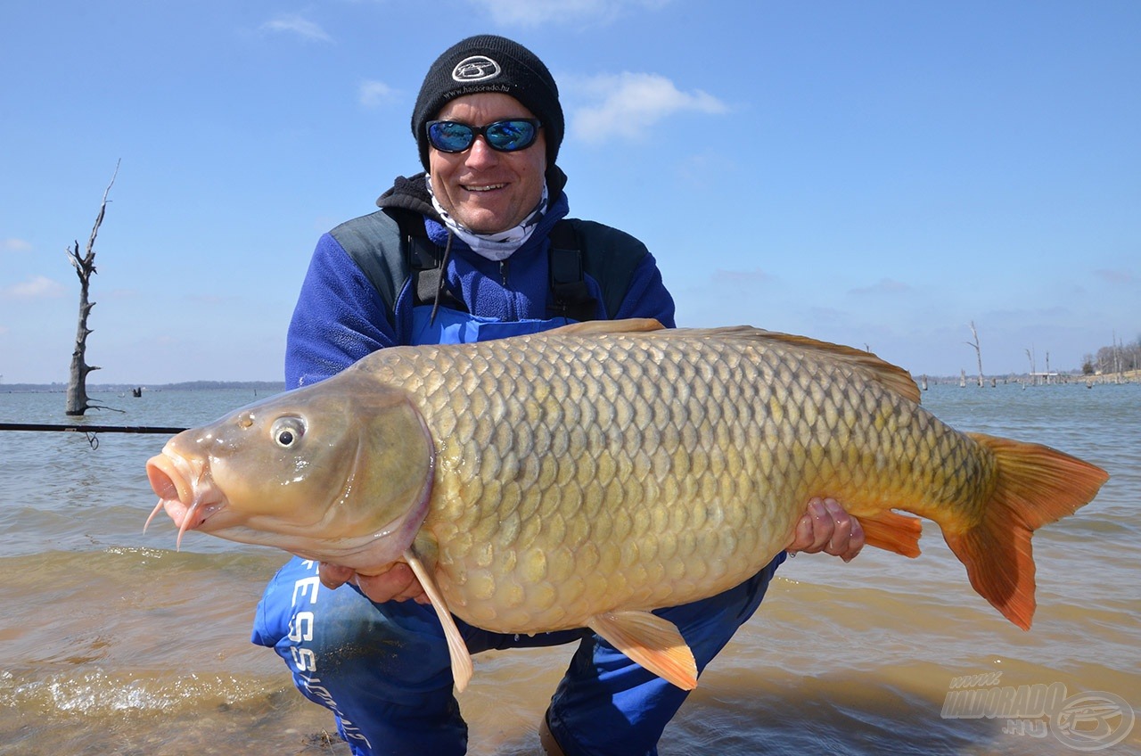 Ereje teljében lévő nyurgaponty, amely 14,3 kg-ot nyomott