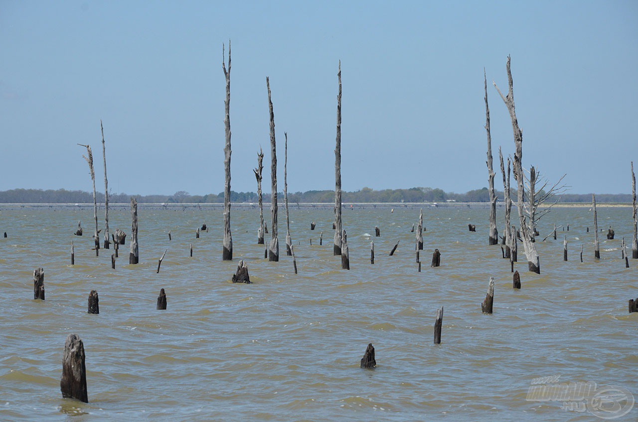 A helyszín a Dallas közelében található vadregényes Lake Fork víztározó