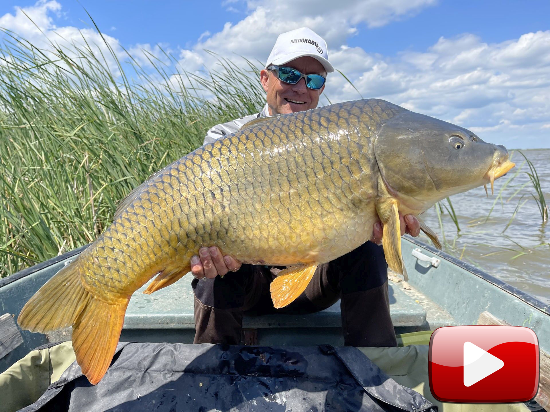 Vadvízi kalandok 47. rész – 4 évszak horgászbottal a Tisza-tavon – NYÁR