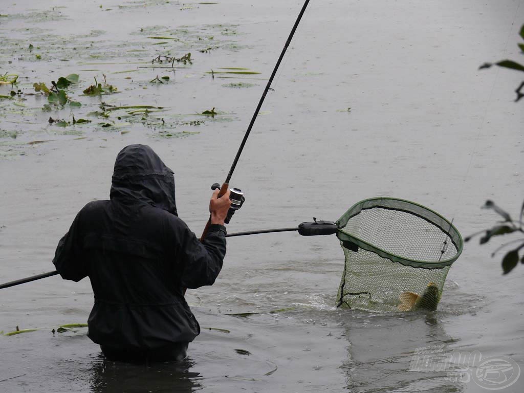 Hiába került merítőbe, még ott is birkózni kellett velük