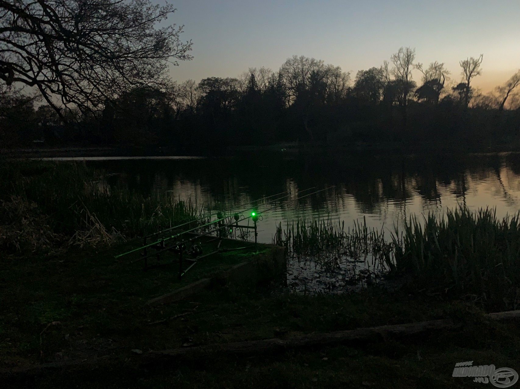 A halak beleúszásokkal jelezték, hogy a környékünkön vannak