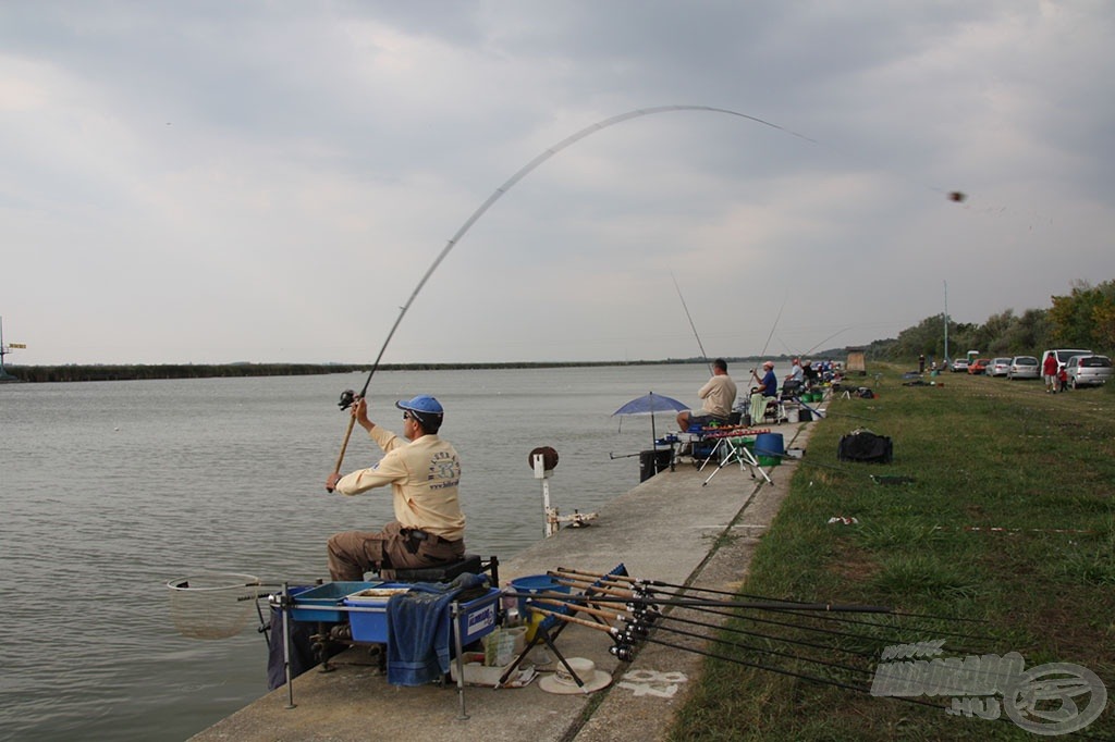 Egy horgásznapon 180-200-at dobott Gábor, ez egy hét alatt minimum 1260 dobás! Az utolsó fordulóban a kb. 200 dobásból mindössze 6 pontatlan dobása volt, a többi hajszálpontosan oda ment, ahová szánta!