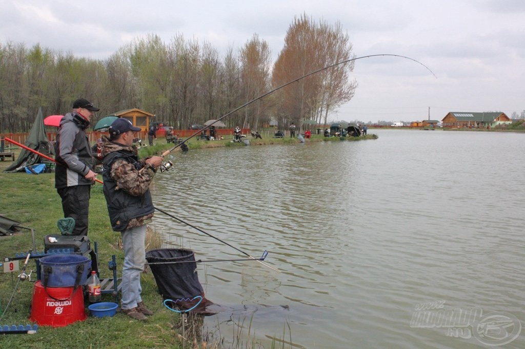 A Fischer Team munkában