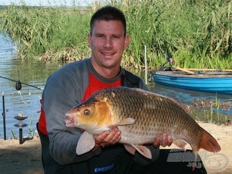 A szépségdíjas, 8,5 kg-os koi a sok kisebb ponty mellett igazán örömteli volt