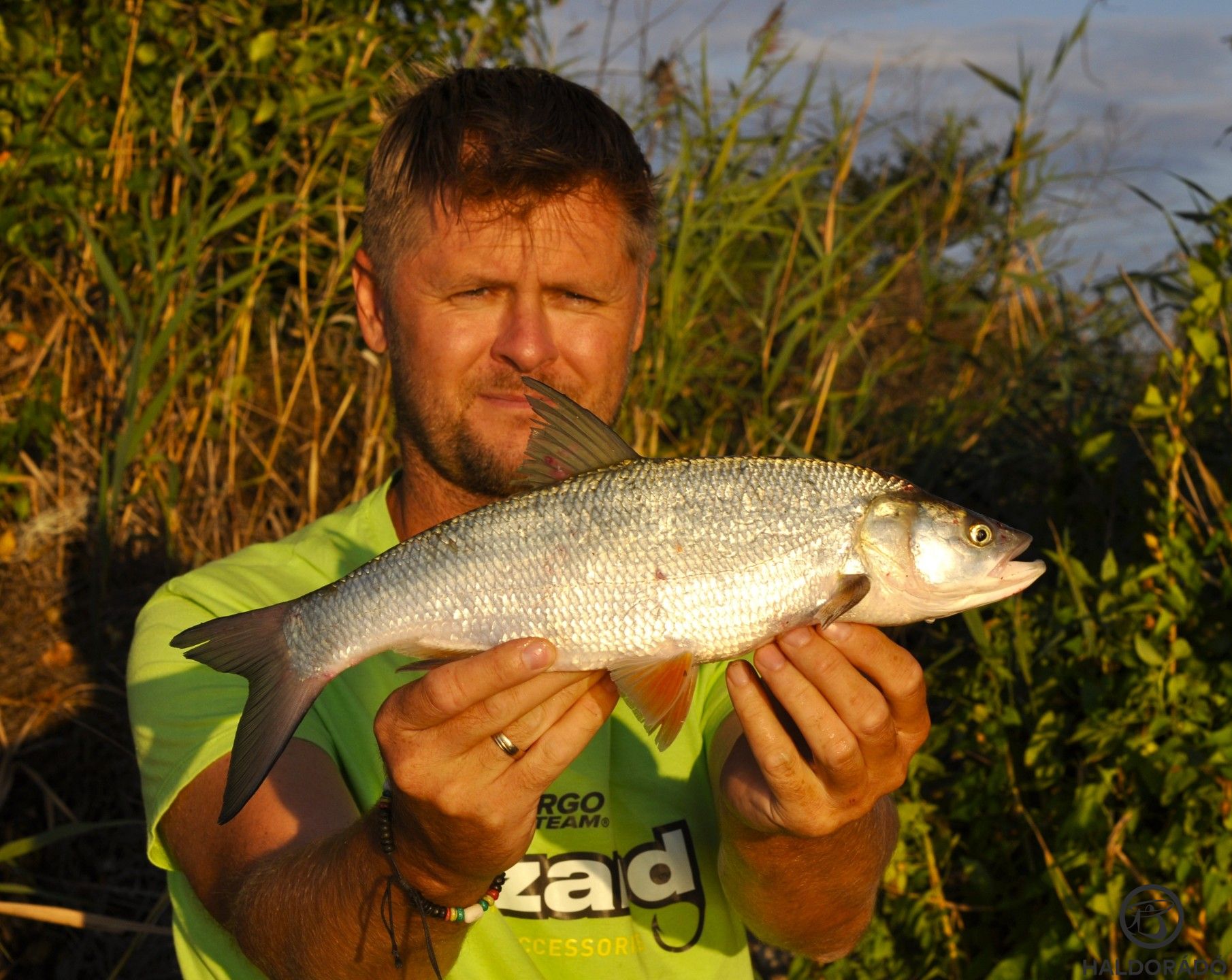 Az első példányt hamar követte társa is