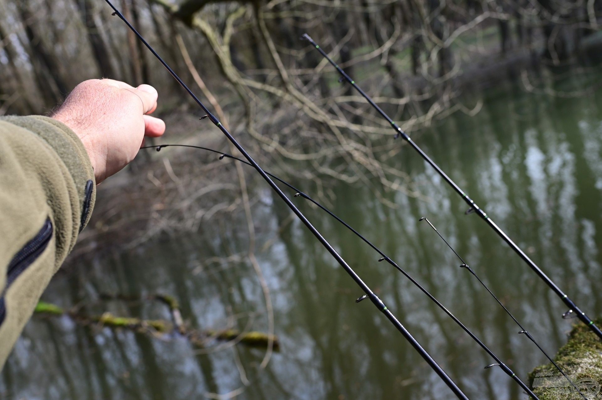 A Perch Blade lelke a plektoros hegy