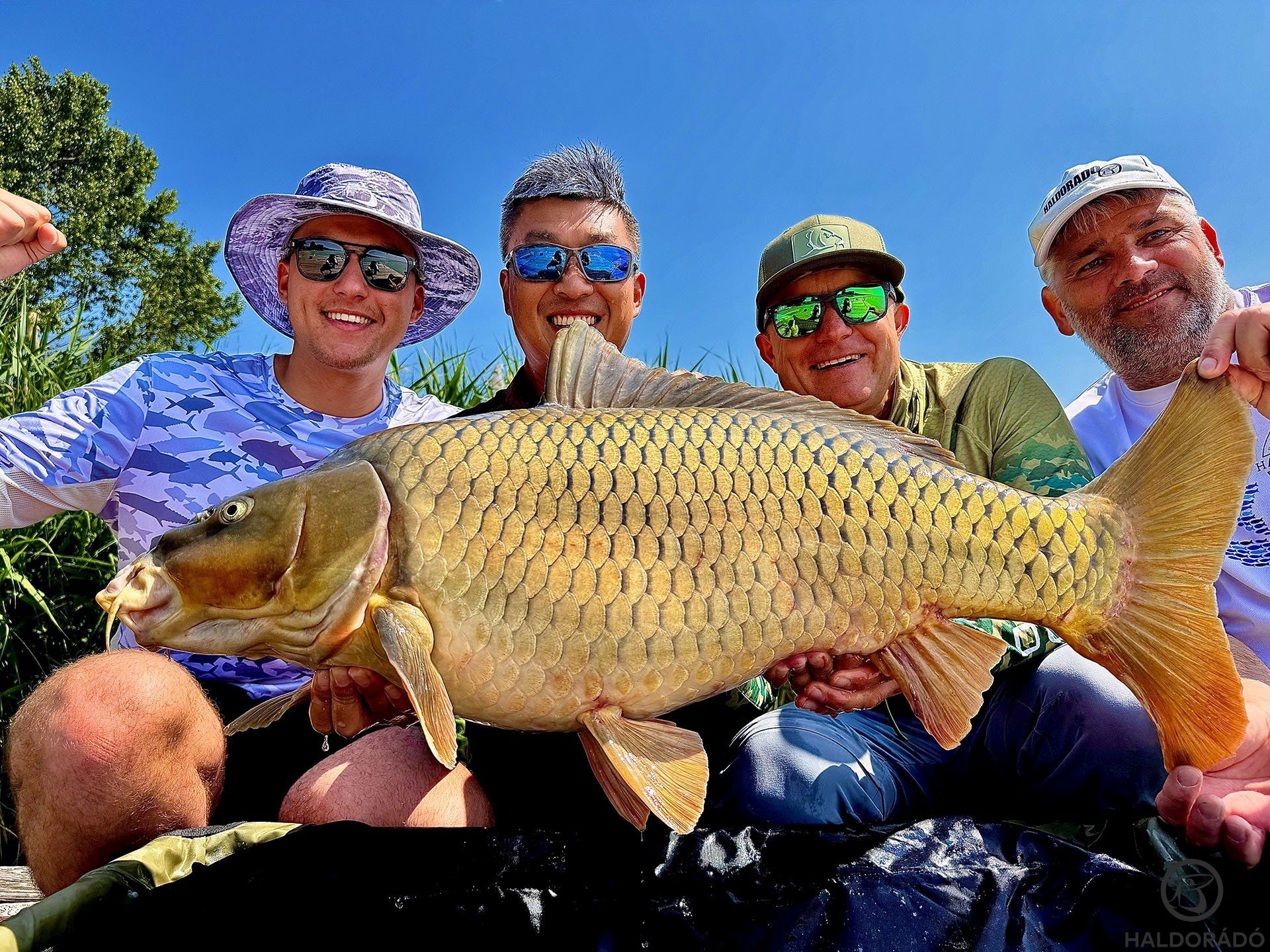 Sőt, egy igazán nagy ponty is beköszönt, amelynek mindenki nagyon örült!