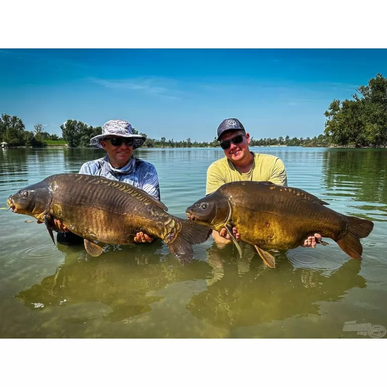 BLACK EDITION BC 390 3,5 Lbs távdobó nagypontyos horgászbot + Dobókesztyű ujj / 12