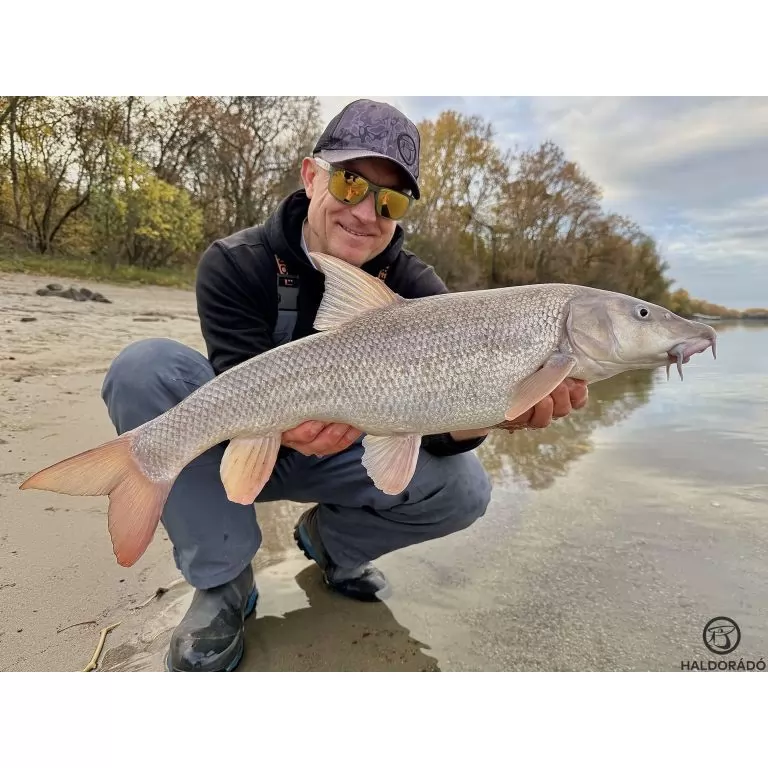 By Döme EXTREME 500 River Kaiwo Feeder 300EXH - brutál erős és rugalmas TOP folyóvízi feederbot / 20