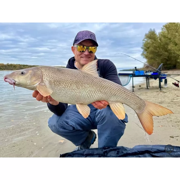 By Döme EXTREME 500 River Kaiwo Feeder 300EXH - brutál erős és rugalmas TOP folyóvízi feederbot / 25