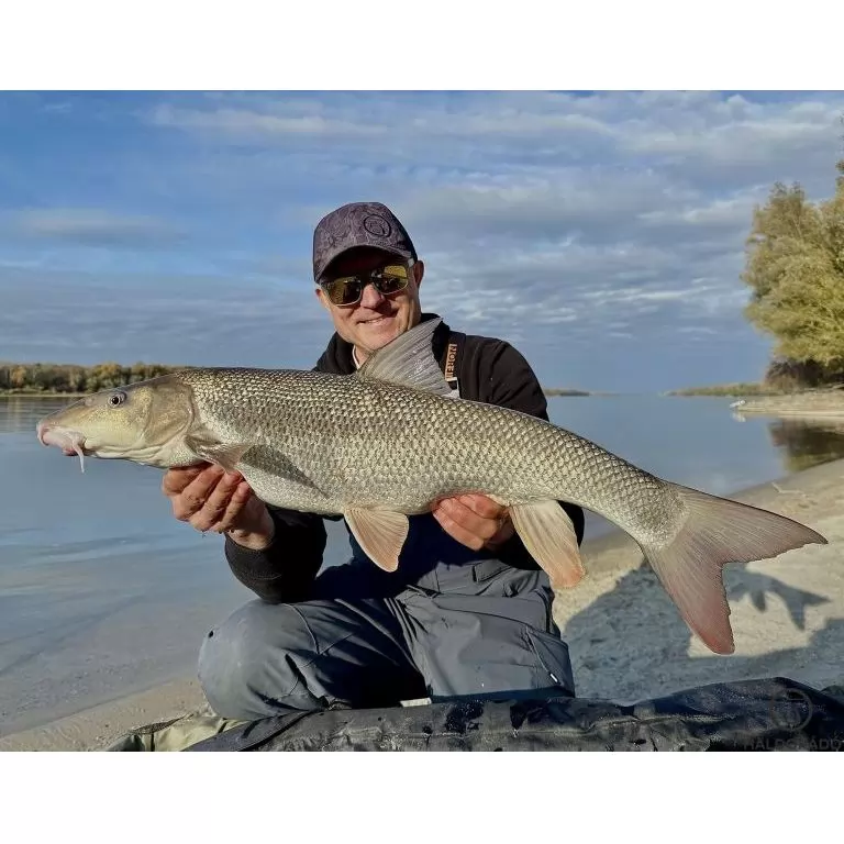 By Döme EXTREME 500 River Kaiwo Feeder 395EXH - brutál erős és rugalmas TOP folyóvízi feederbot / 28