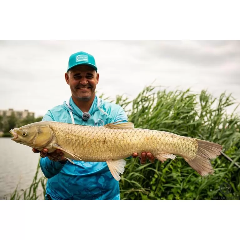 By Döme Kaiwo Gold Method Feeder 360M horgászbot / 7