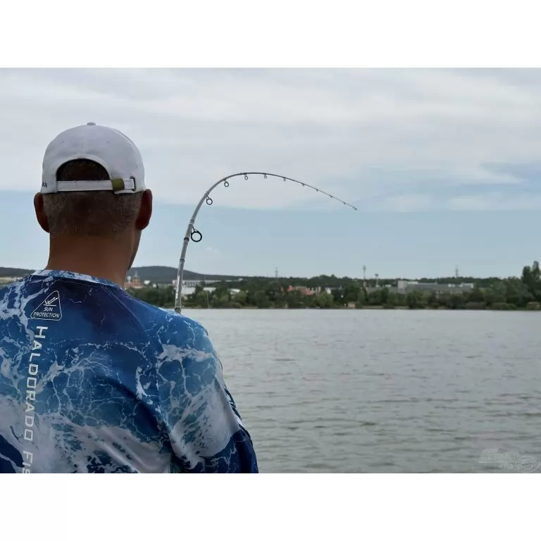By Döme TEAM FEEDER Carp Fighter Feeder 330MH / 19