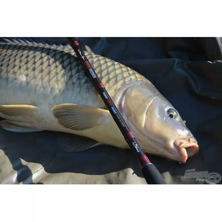 By Döme TEAM FEEDER Power Fighter Feeder 390XH horgászbot + Dobókesztyű ujj / 13