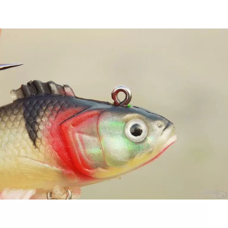 ENERGOTEAM Wizard Sügér / 3