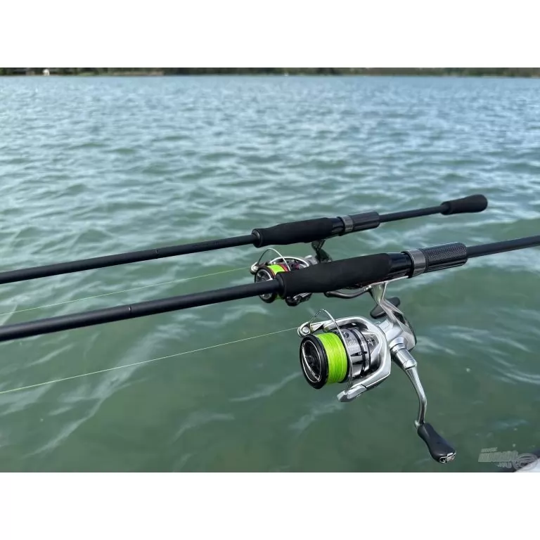 FAVORITE Black Swan 772MH / 13
