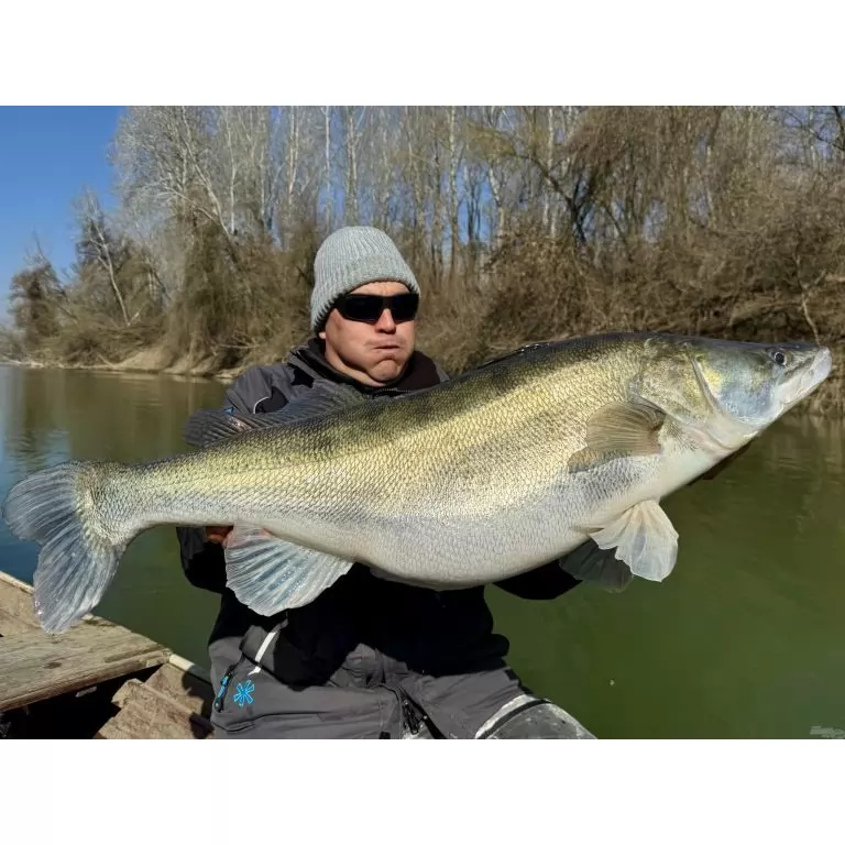 FRAPP Geko 11,5 cm - 23 / 8