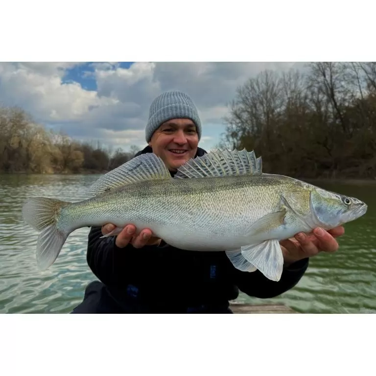 FRAPP Geko 11,5 cm - 25 / 9