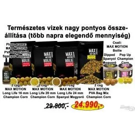 HALDORÁDÓ Nyári recept 10 - Természetes vizek nagy pontyos összeállítása (több napra elegendő mennyiség)