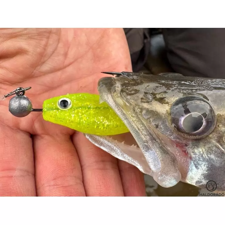 HALDORÁDÓ Predator Jig PRO 1/0 - 6 g / 4