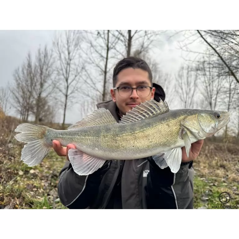 HALDORÁDÓ Predator Jig PRO 2/0 - 8 g / 5