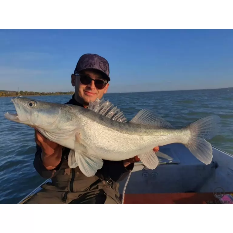 HALDORÁDÓ Predator Jig PRO 4/0 - 20 g / 4