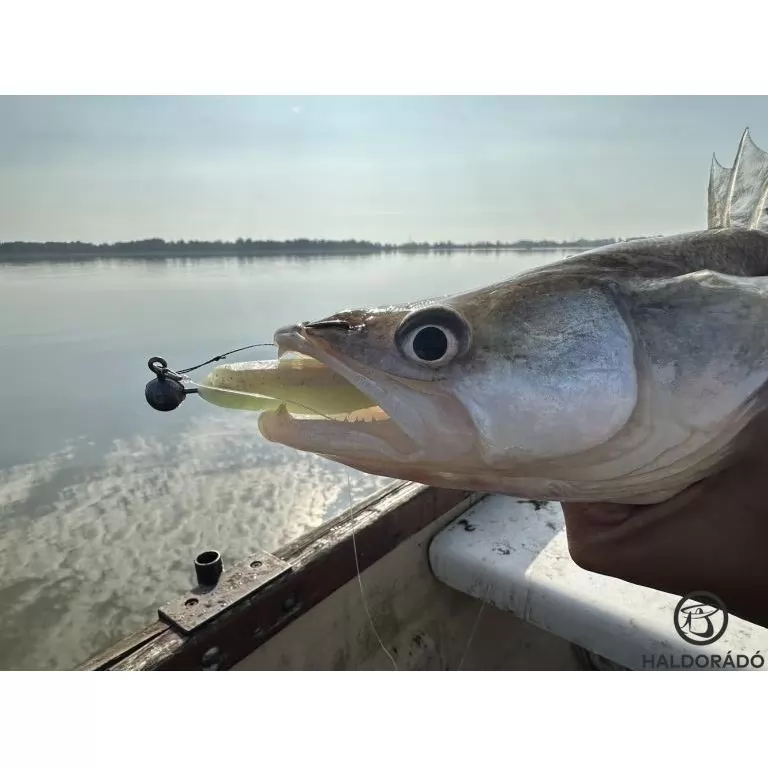 HALDORÁDÓ Predator Jig PRO 6/0 - 12 g / 2
