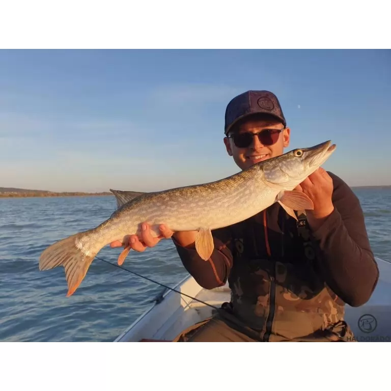 HALDORÁDÓ Predator Jig PRO 6/0 - 21 g / 4