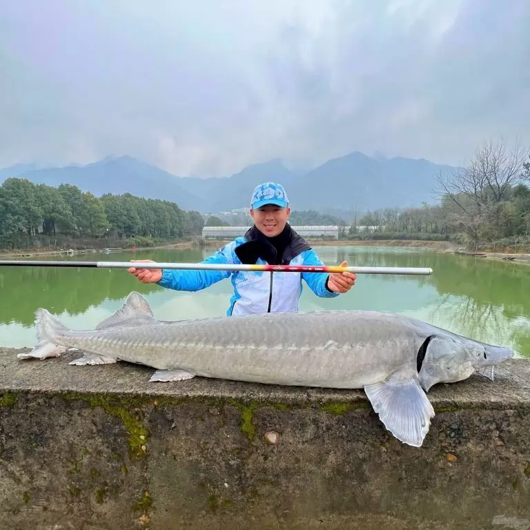 KAIWO Kardos Harci Ponty 8,1 m - extra erős spiccbot maximum 45 kg-os halakig / 14