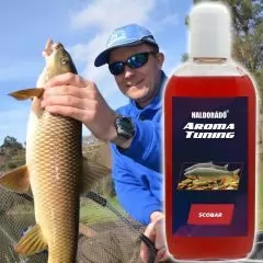 Liquid aroma for barbel