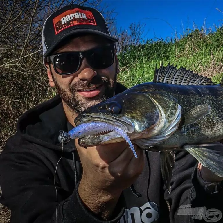 Rapala Crushcity Freeloader 10,6 cm - GRSD / 4
