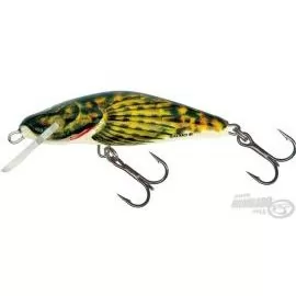 SALMO Bullhead BD6F BD