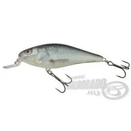 SALMO Executor IEX7SR RD