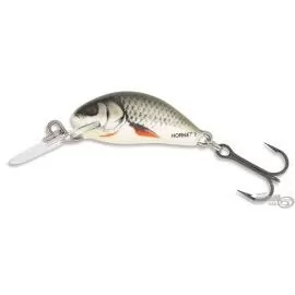 SALMO Hornet H2S D