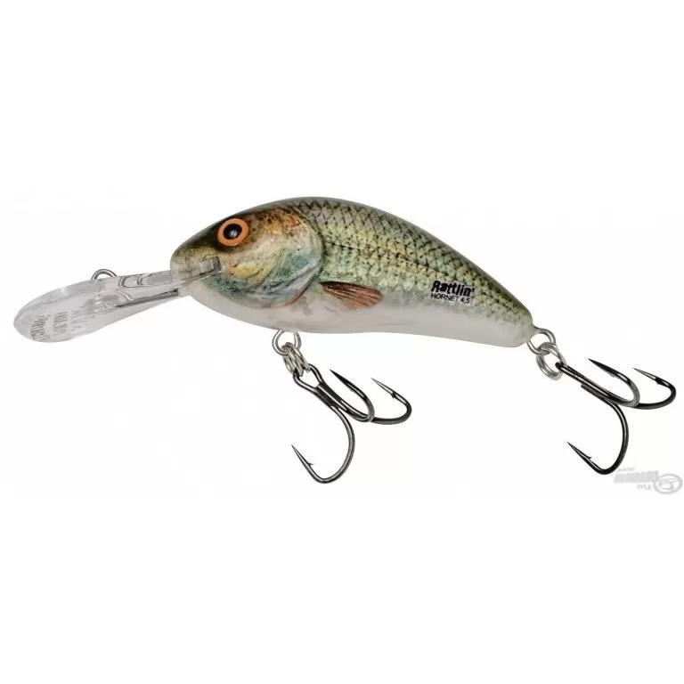 SALMO Rattlin Hornet H4,5F GER / 1