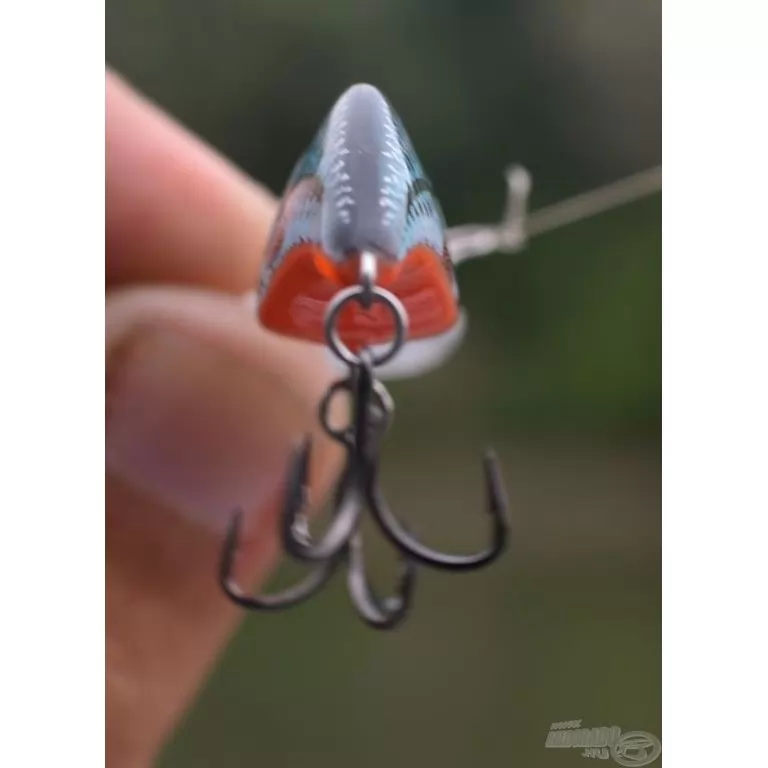 SALMO Sparky Shad SS4S HGOS SALMO Sparky Shad SS4S HGOS