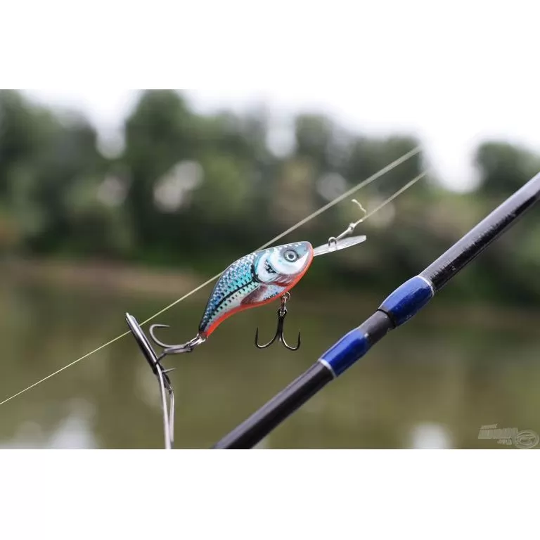 SALMO Sparky Shad SS4S SHS SALMO Sparky Shad SS4S SHS