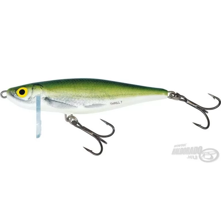 SALMO Thrill TH4 OB / 1