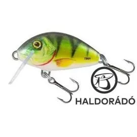 SALMO Tiny 3F P