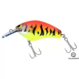 ZANDER TIME DuelCat Shallow 6,8 cm - HotTiger