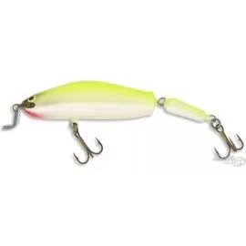 ZANDER TIME Labrax SFC 9,5 cm