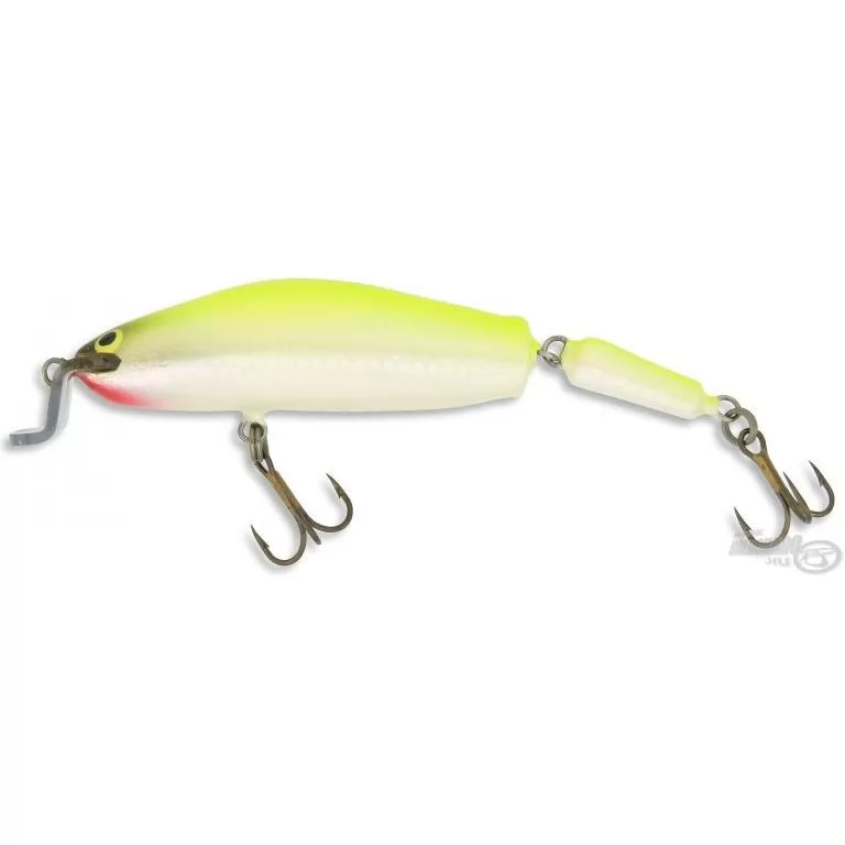 ZANDER TIME Labrax SFC 9,5 cm / 1